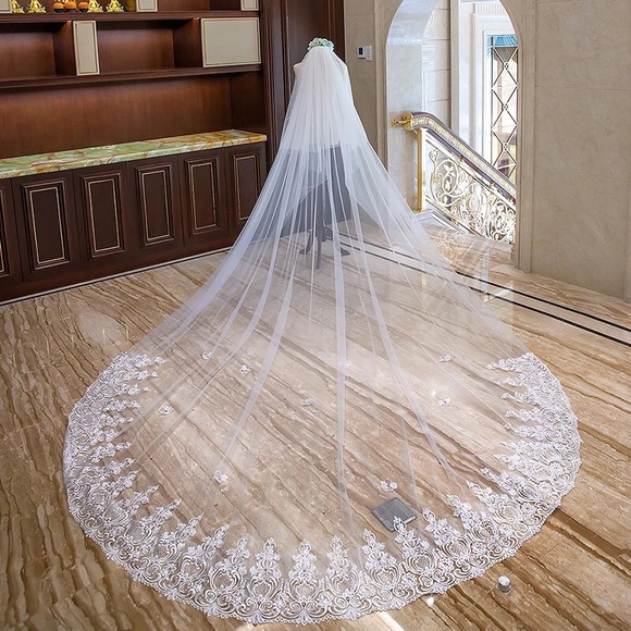 Other - Beautiful long lace veil